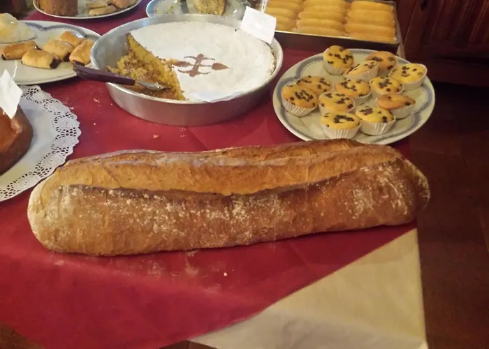 컨트리하우스 Casa Da Torre 발가